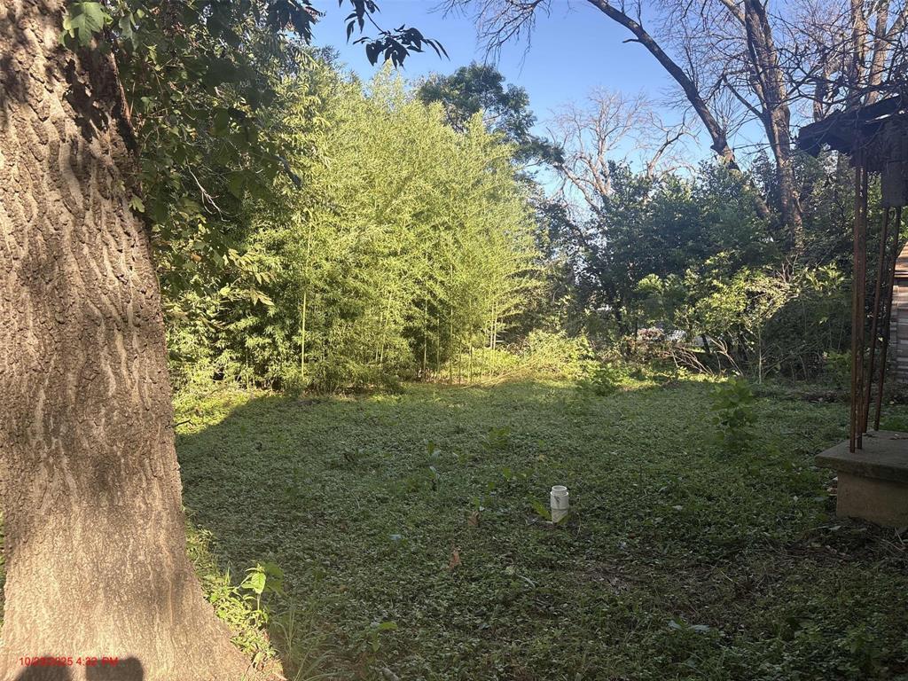 915 Turner Street Waco, TX 76704 - Photo 6 of 12 a view of a tree with a yard