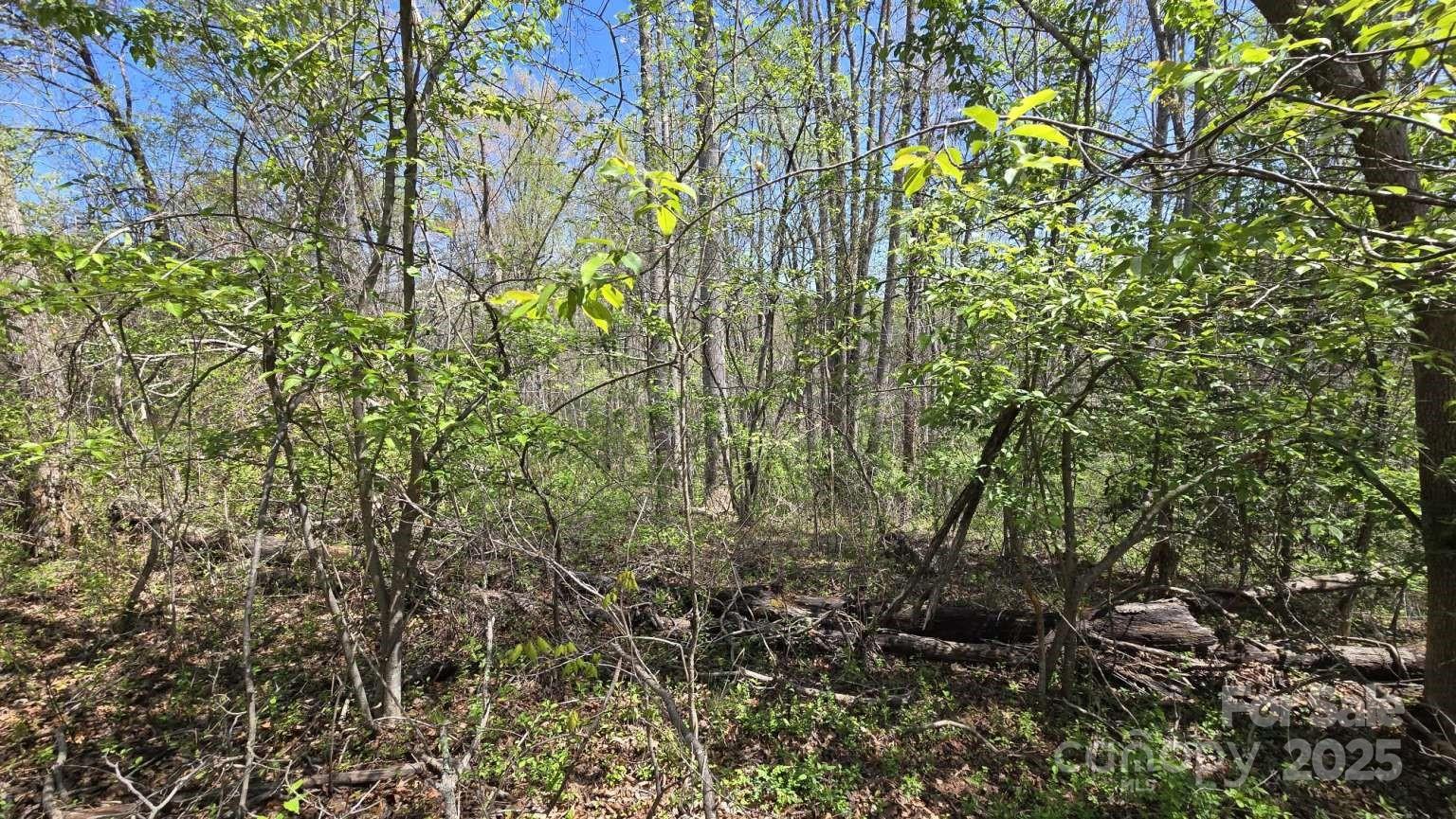 151 Richmond Rdg Road Asheville, NC 28804 - Photo 6 of 8 a view of a garden