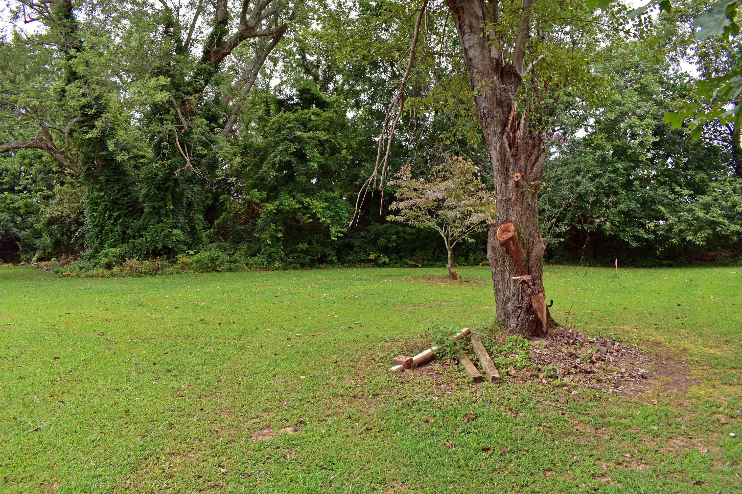 4968 Highway 157 Rising Fawn, GA 30738 - Photo 21 of 25 SIDE VIEW OF LAND