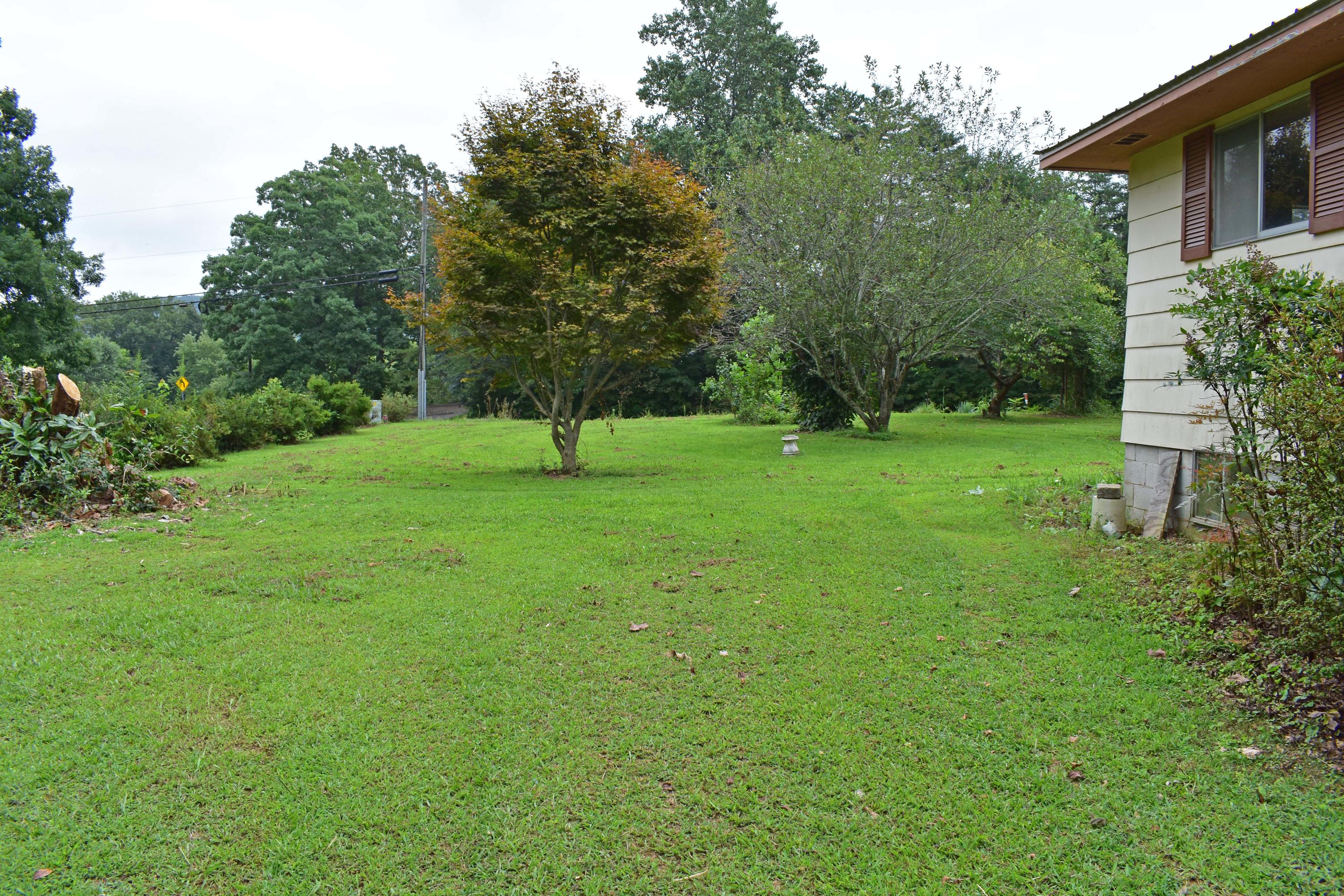 4968 Highway 157 Rising Fawn, GA 30738 - Photo 24 of 25 SIDE LAWN