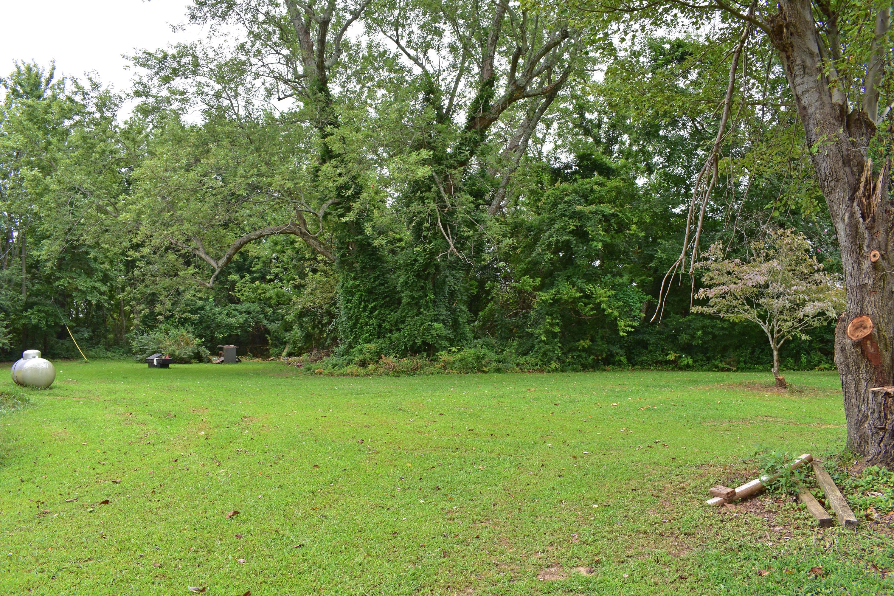 4968 Highway 157 Rising Fawn, GA 30738 - Photo 25 of 25 BACKYARD