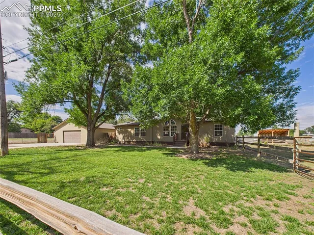 a view of a park with large trees