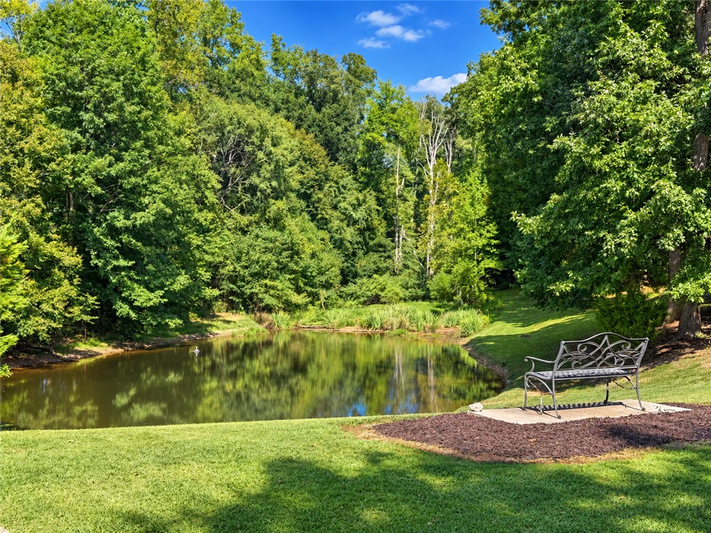113 Grand Oak Circle Pendleton, SC 29670 - Photo 24 of 25 Lush green trees frame a tranquil pond nestled within the manicured grassy yard.