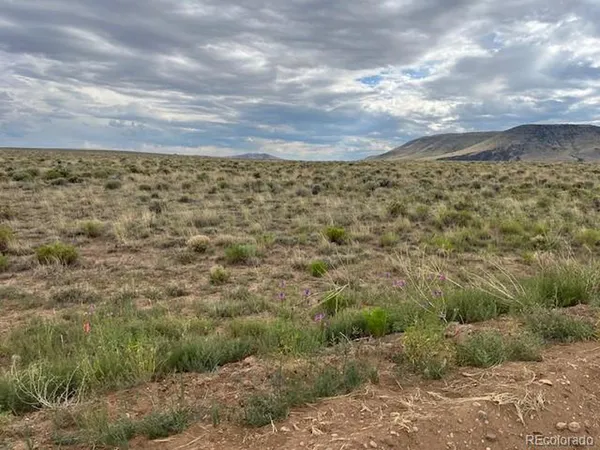 a view of a field