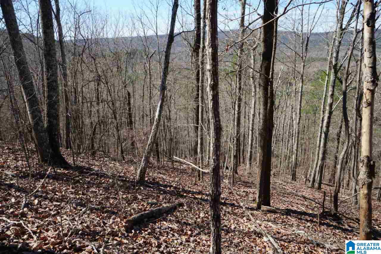 Mystic Valley View, Unit 1 Sterrett, AL 35147 - Photo 24 of 33