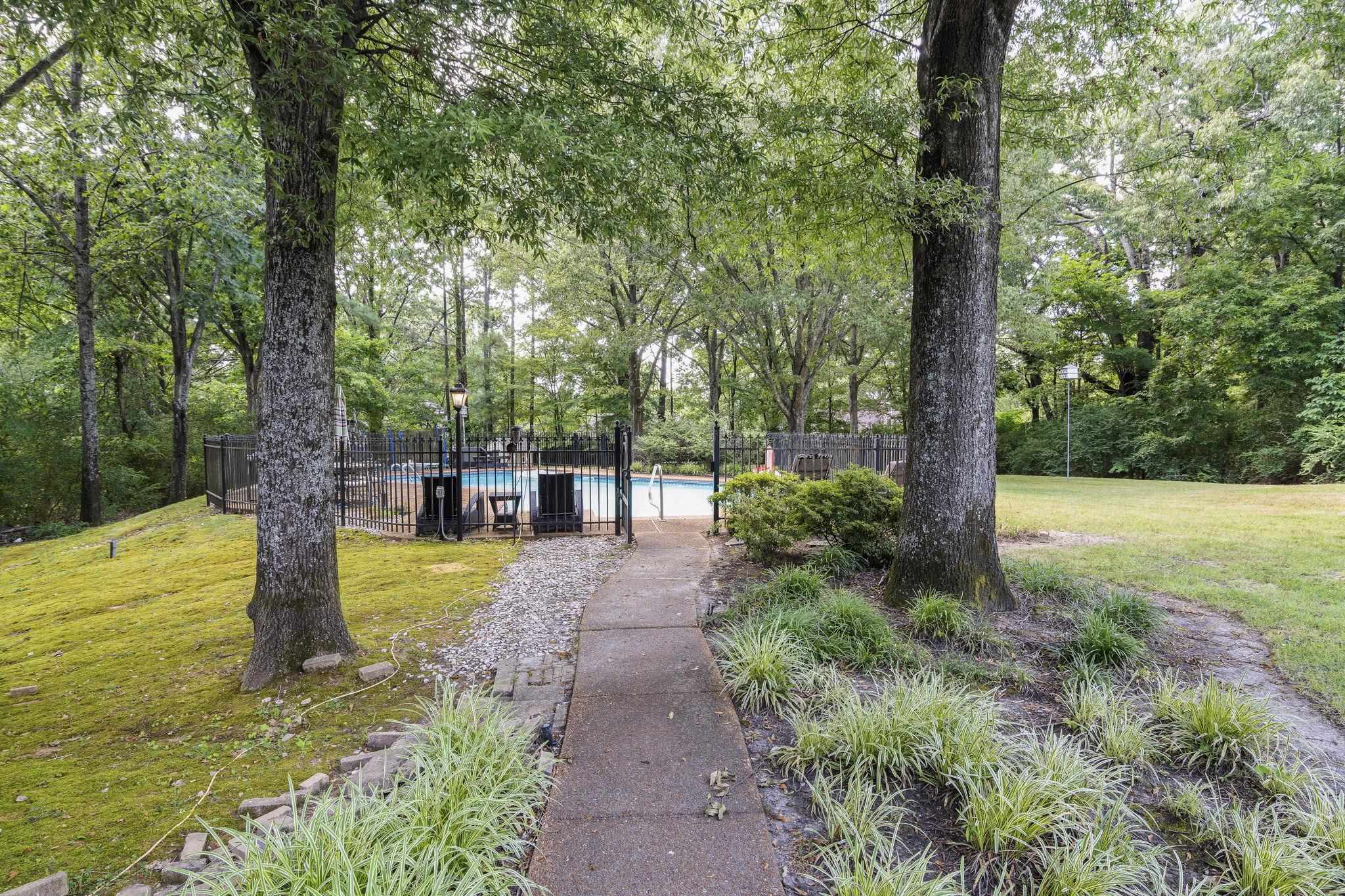 549 Peterson Lake Road Collierville, TN 38017 - Photo 26 of 34 a view of a garden with trees