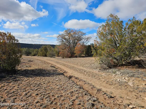 a view of snow on the side of a road