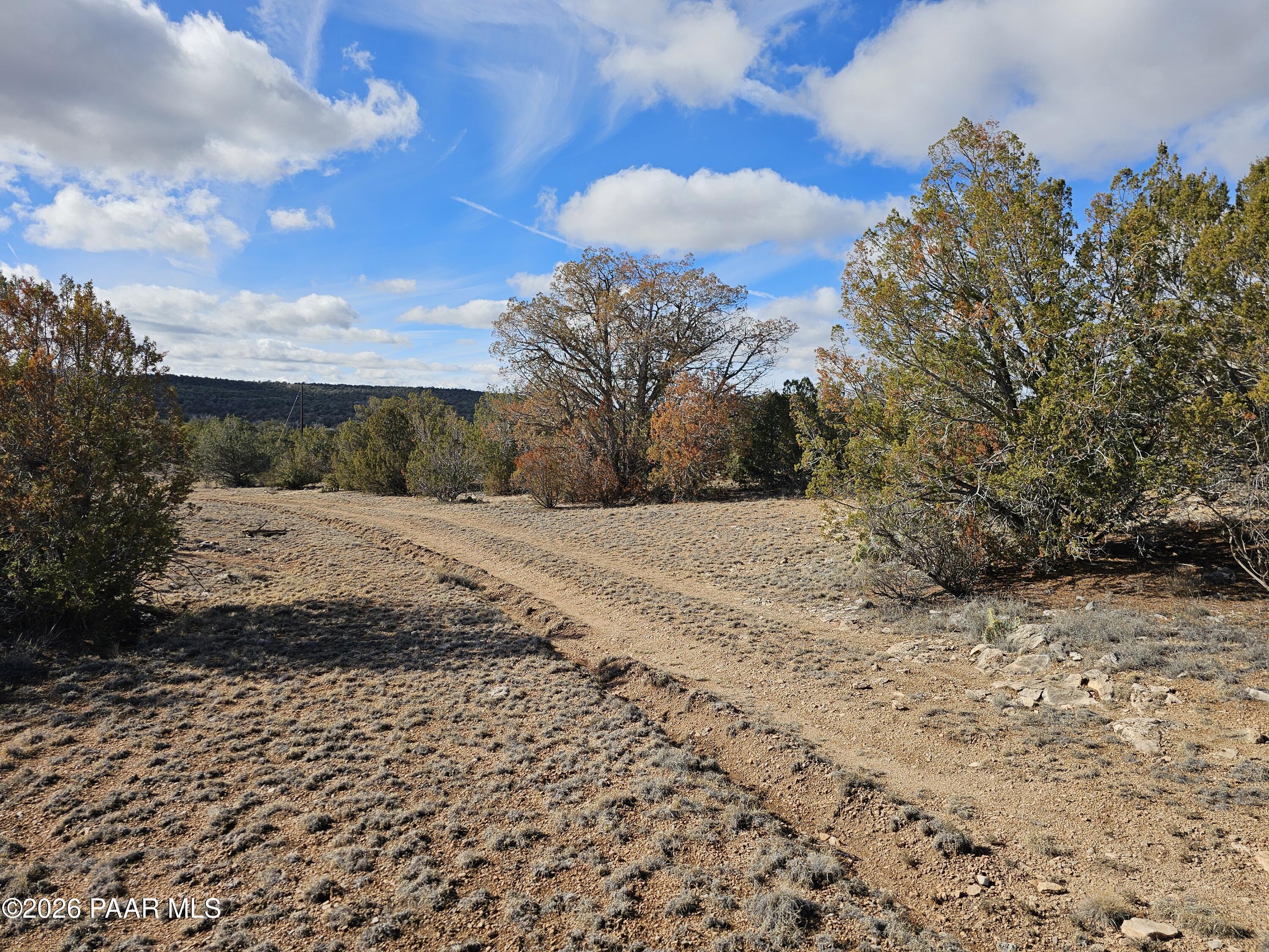 a view of snow on the side of a road