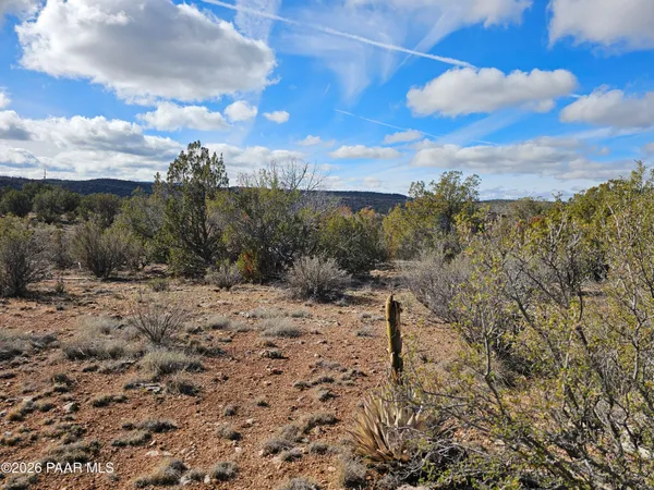a view of a dry yard with wooden fence