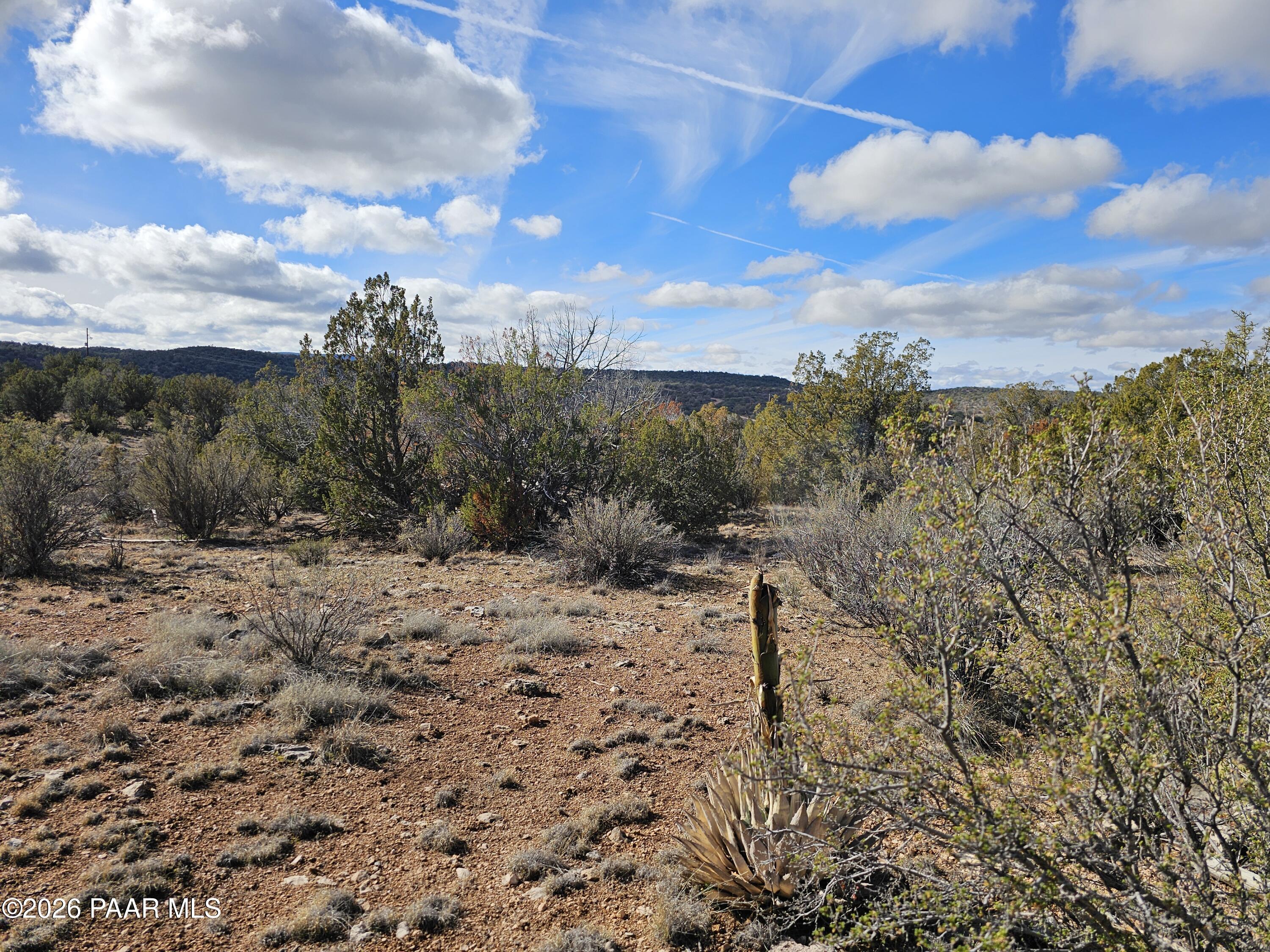 30022 Amalia Road Seligman, AZ 86337 - Photo 3 of 12 a view of a dry yard with wooden fence