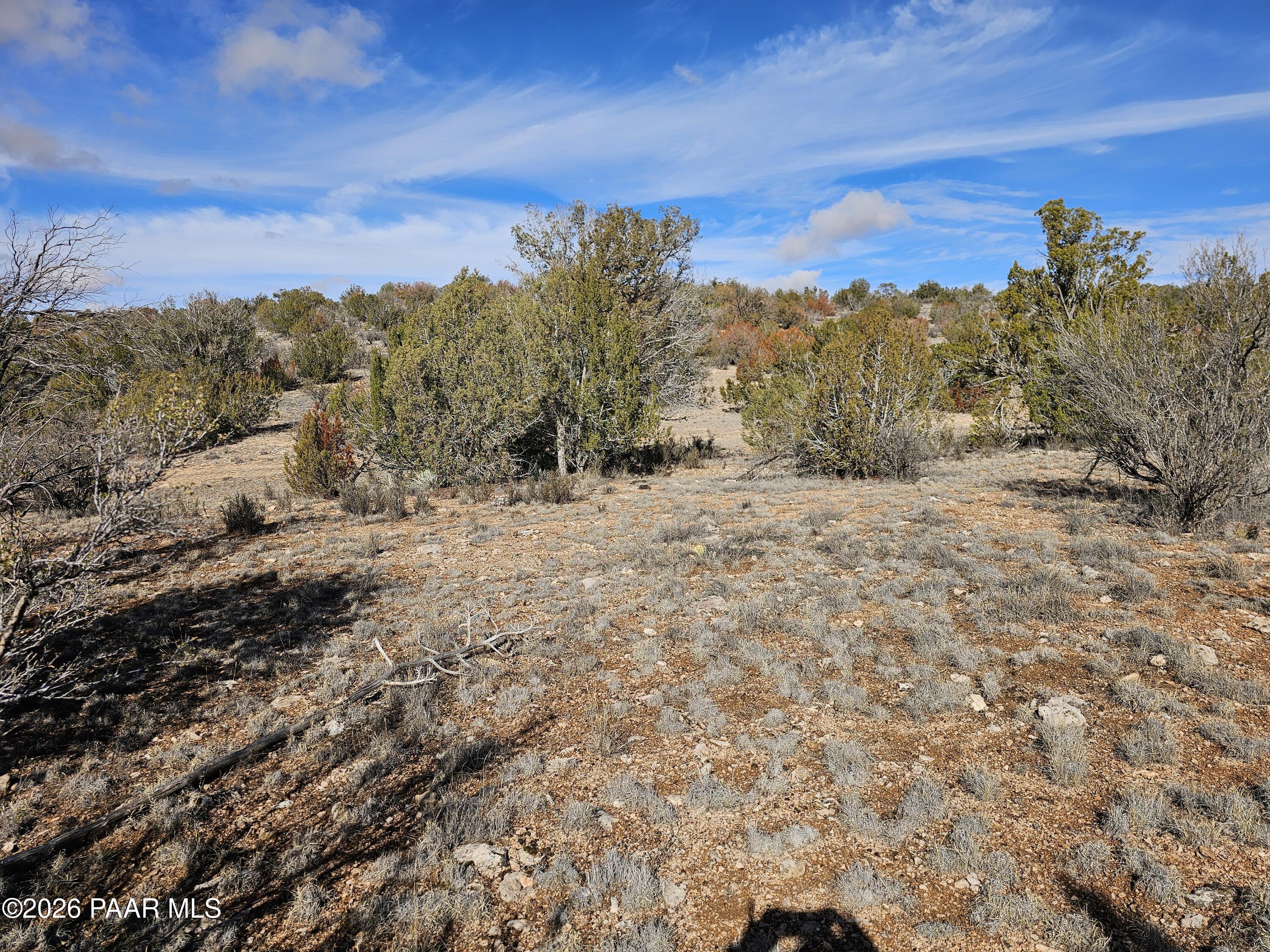 30022 Amalia Road Seligman, AZ 86337 - Photo 5 of 12 a view of a dry yard with mountains in the background