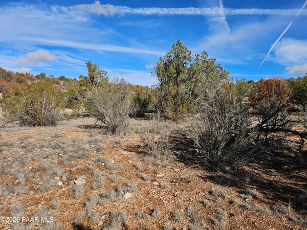 a view of a dry yard with mountains in the background