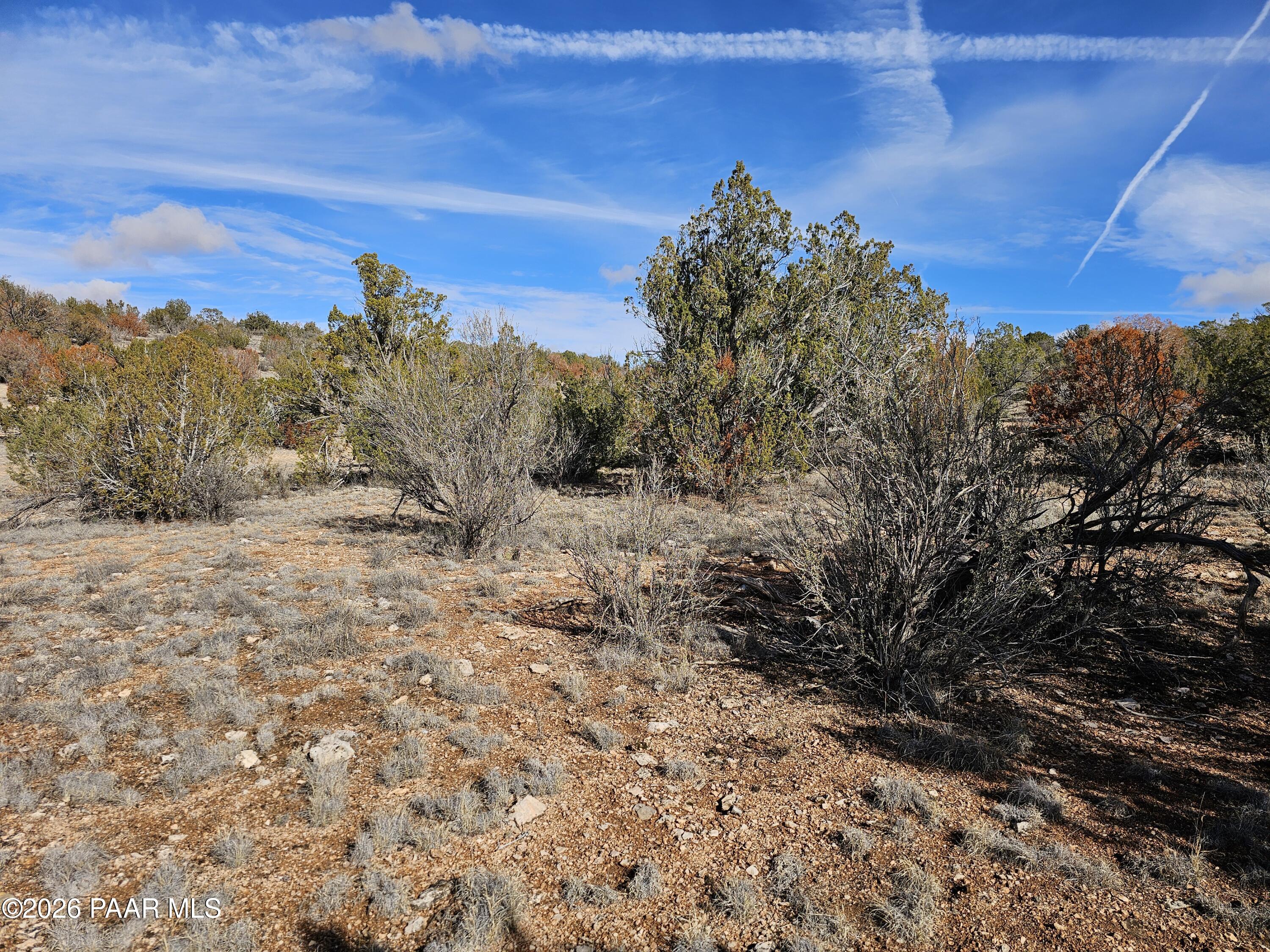 30022 Amalia Road Seligman, AZ 86337 - Photo 6 of 12 a view of a dry yard with mountains in the background