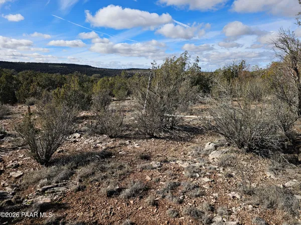 a view of a yard with wooden fence
