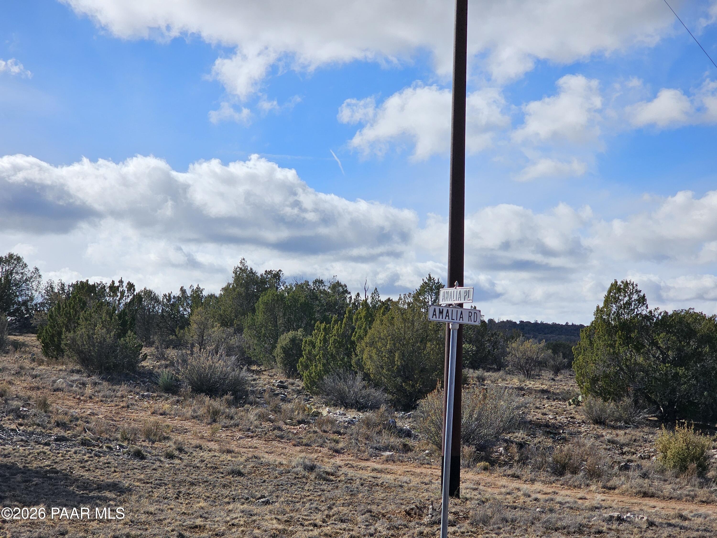 30022 Amalia Road Seligman, AZ 86337 - Photo 10 of 12 a view of a road with a big yard