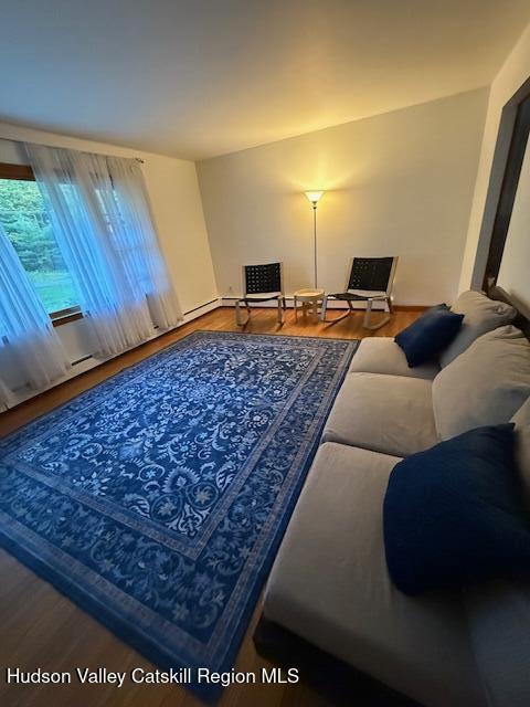 94 Lodge Road Saugerties, NY 12477 - Photo 14 of 47 a living room with a couch and a rug