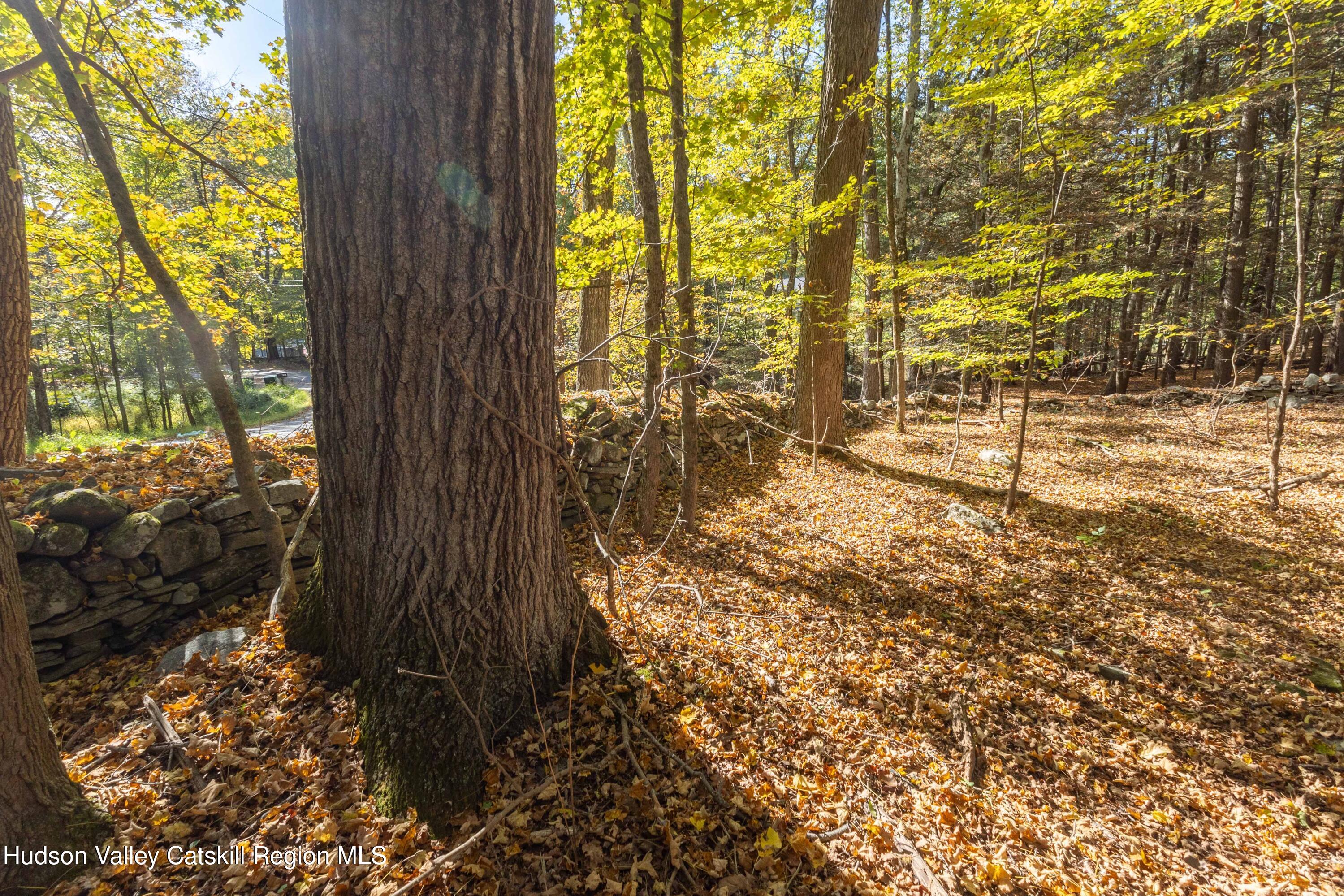 94 Lodge Road Saugerties, NY 12477 - Photo 5 of 47 a view of a yard with plants and large trees