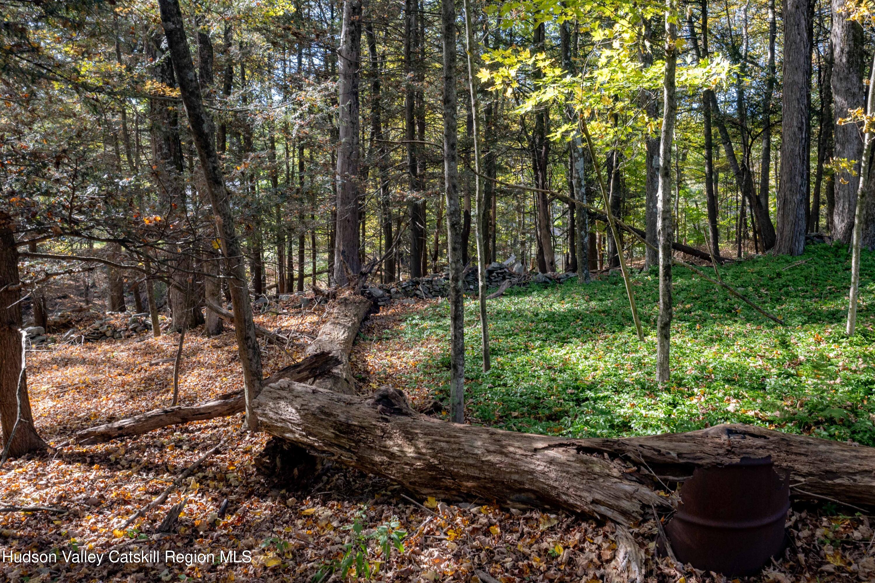 94 Lodge Road Saugerties, NY 12477 - Photo 6 of 47 5N9A9603