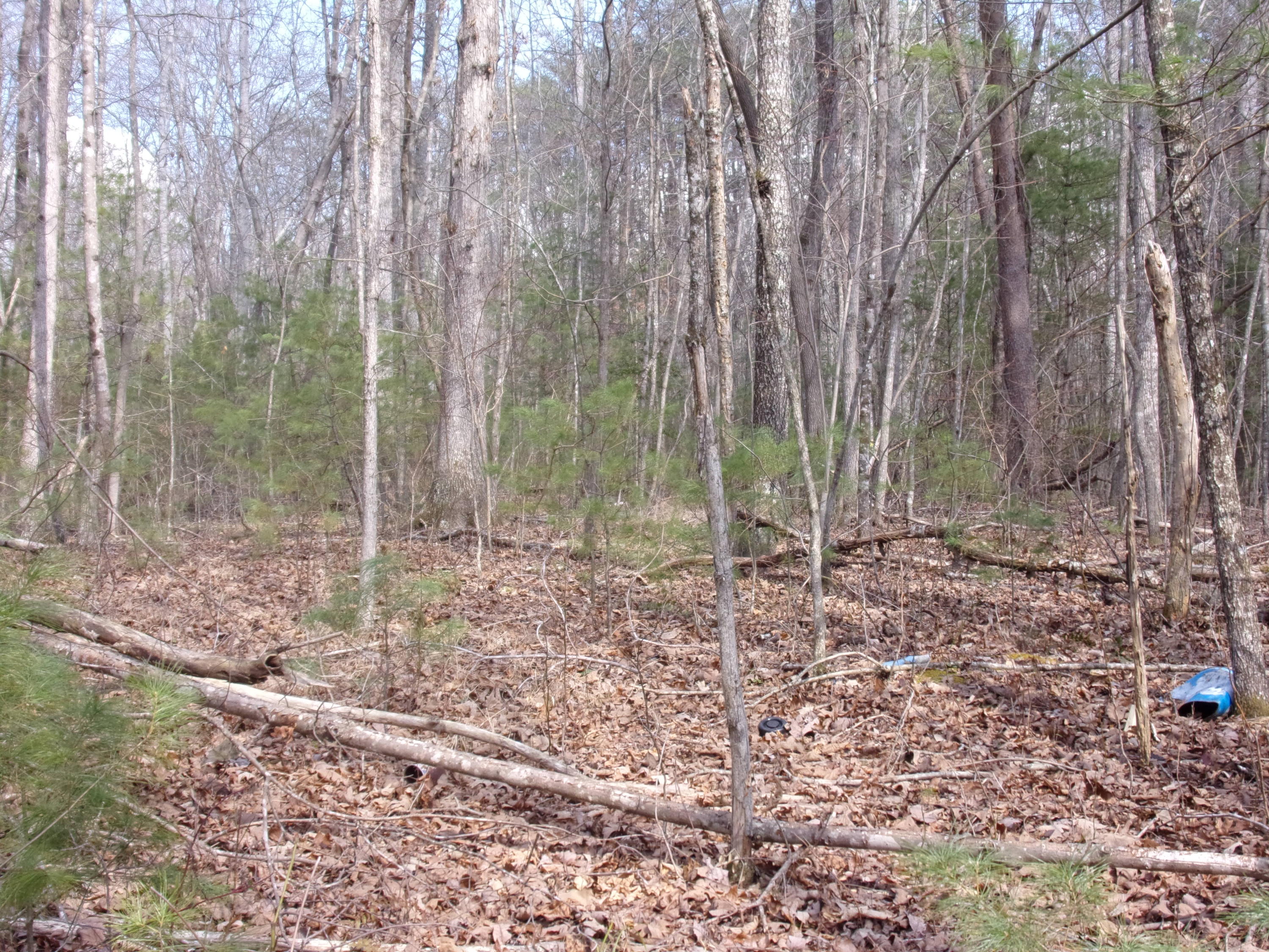 2.5 Griffith Road Pikeville, TN 37367 - Photo 22 of 22 101_0758