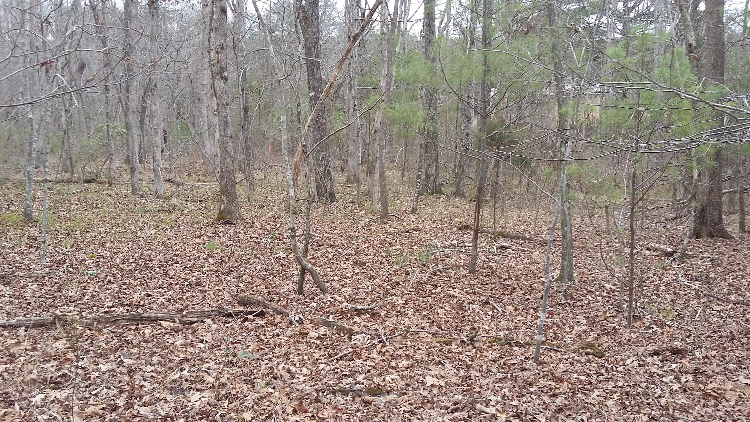 2.5 Griffith Road Pikeville, TN 37367 - Photo 4 of 22 20180305_114614
