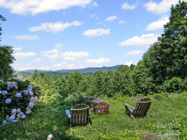a view of a garden with furniture
