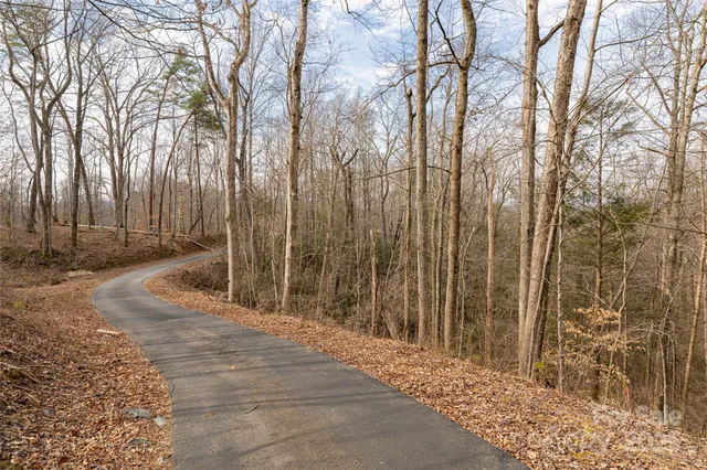 a view of backyard with trees