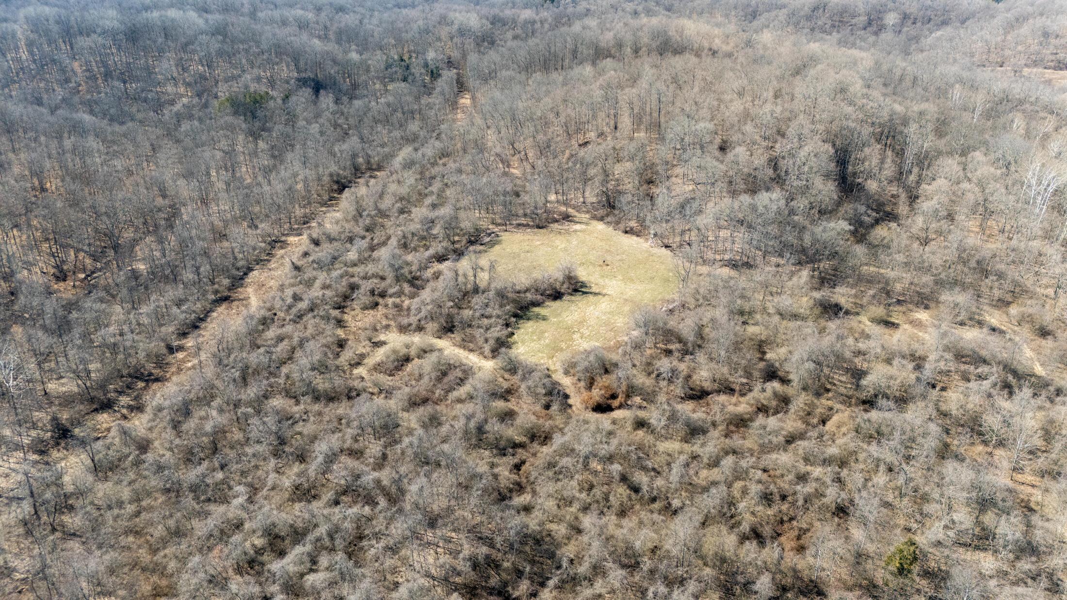 DJI_20250228132509_0012_D