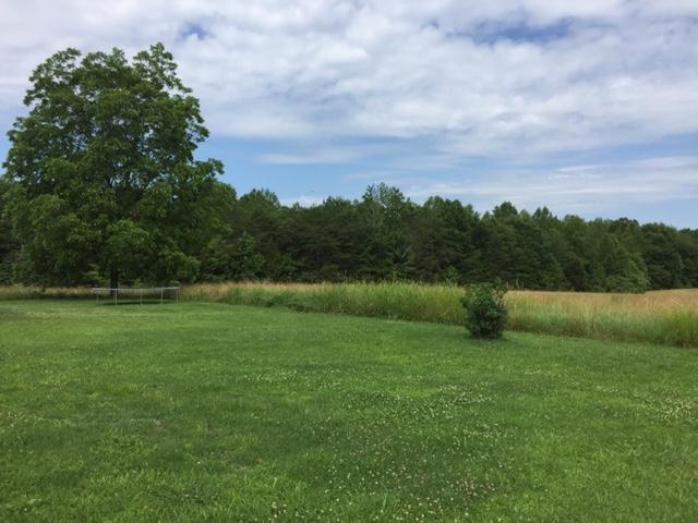 1531 Nease Road Bybee, TN 37713 - Photo 3 of 15 IMG_1574