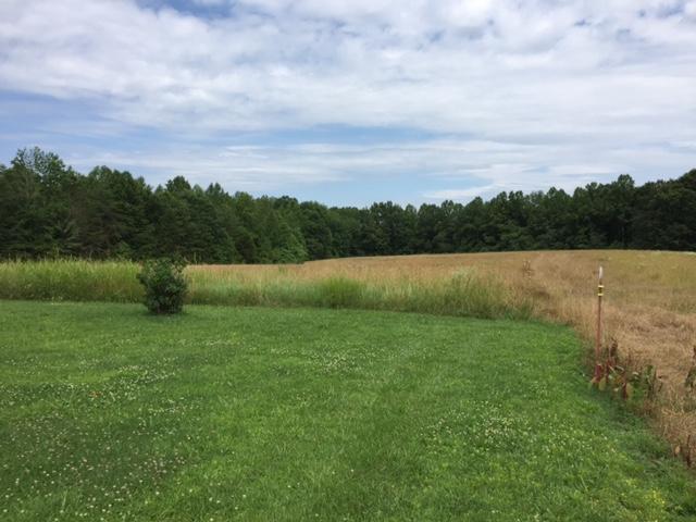 1531 Nease Road Bybee, TN 37713 - Photo 4 of 15 IMG_1575