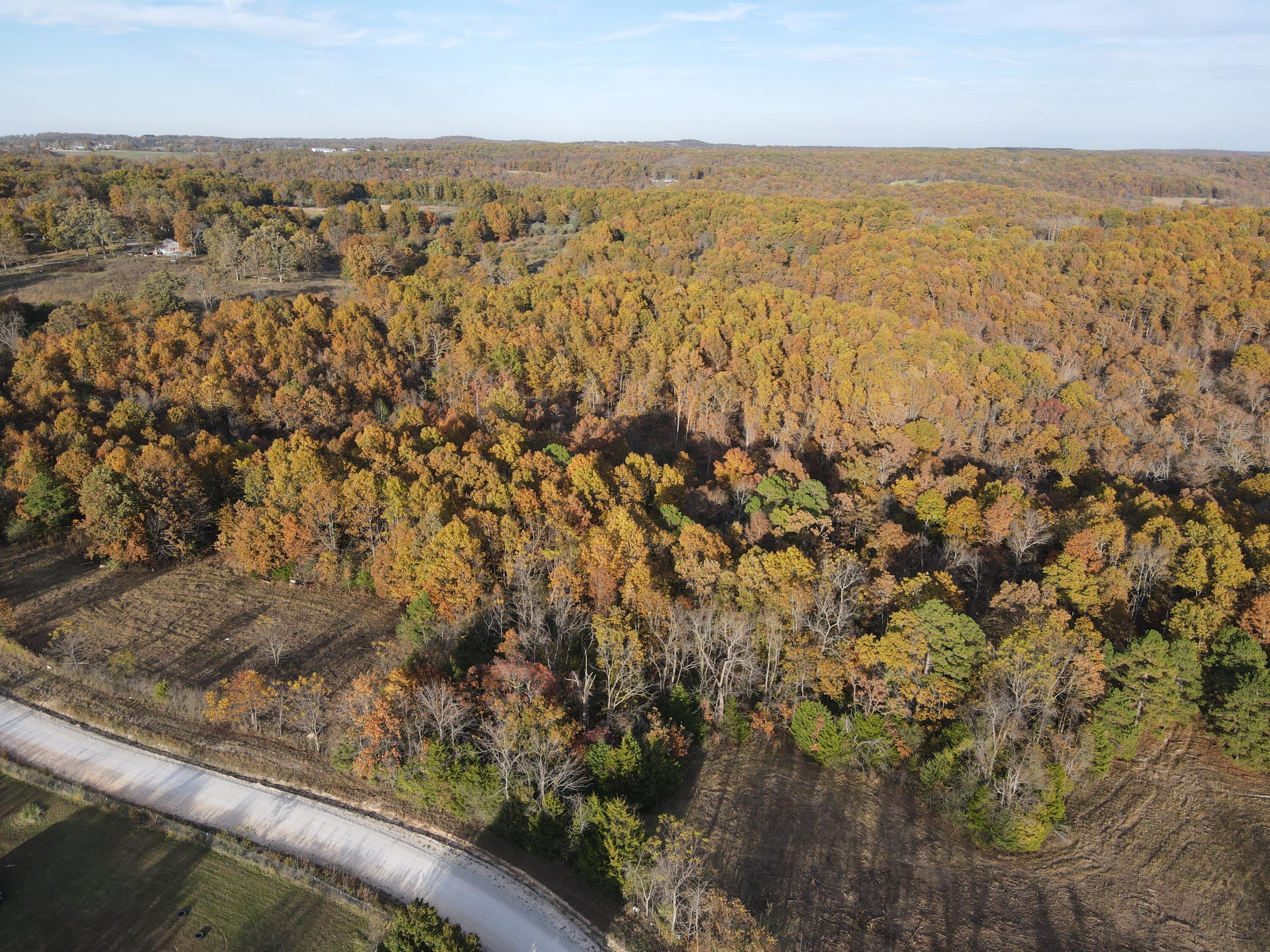 0 King Road Mountain Grove, MO 65711 - Photo 10 of 26 9