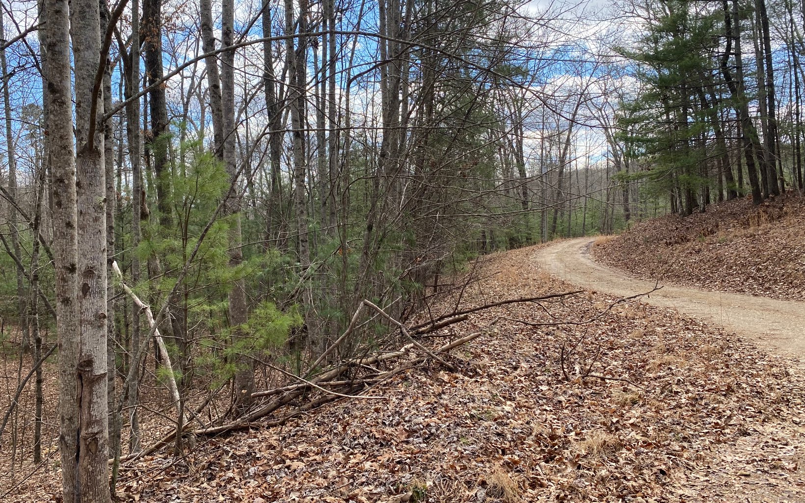 Goldmine Road Morganton, GA 30560 - Photo 1 of 4 Main View