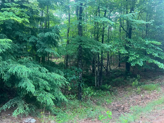 $65,000 | Lot #1 Intervale Road, Bethel, ME 04217