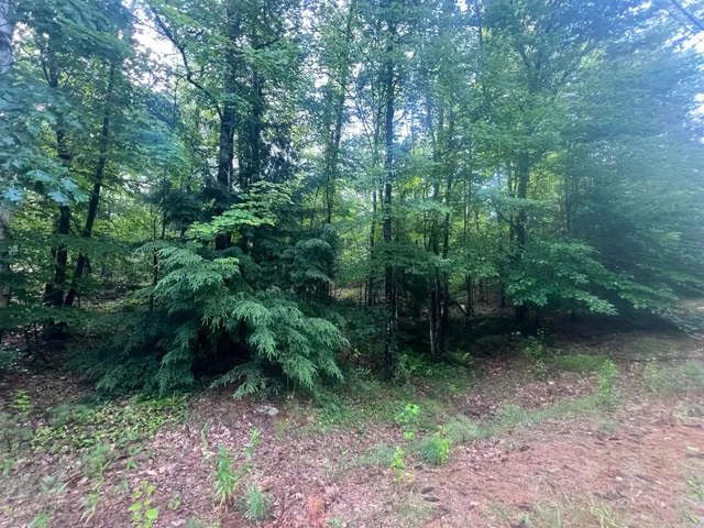 $65,000 | Lot #1 Intervale Road, Bethel, ME 04217