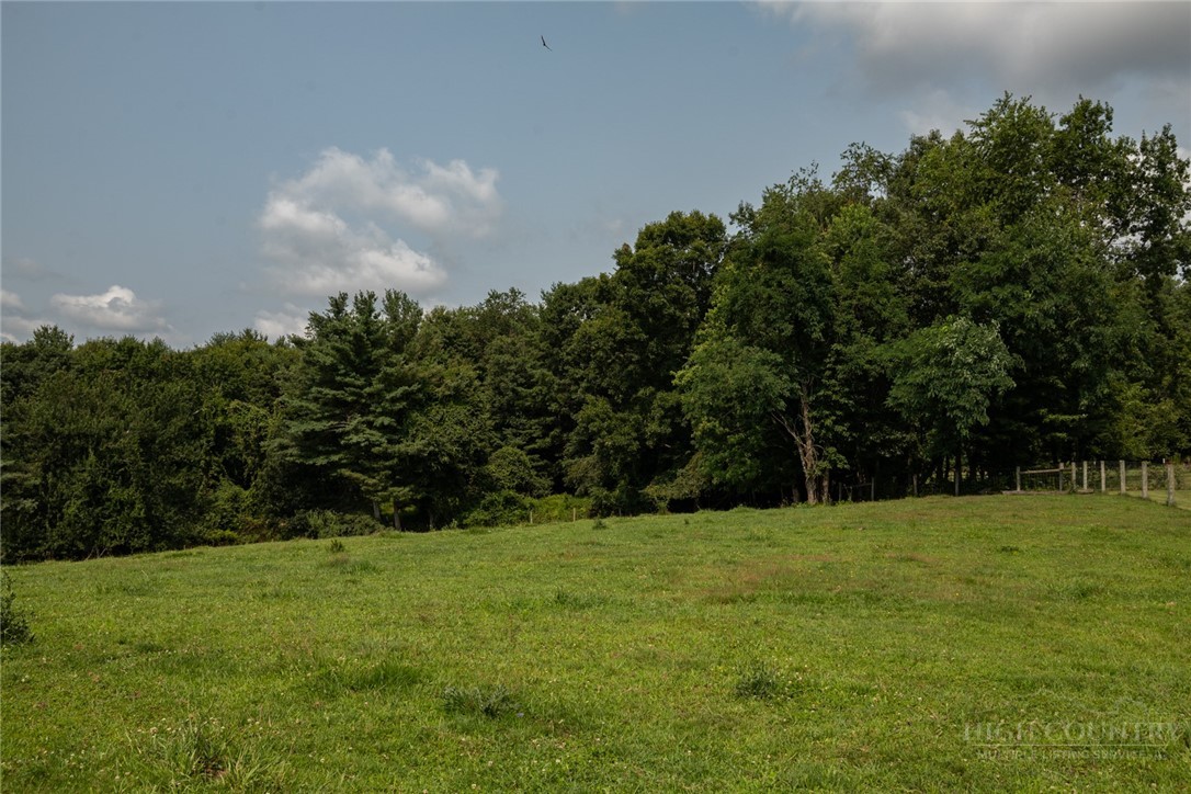 Caudill Road Glade Valley, NC 28627 - Photo 7 of 19 Gallery Image 7