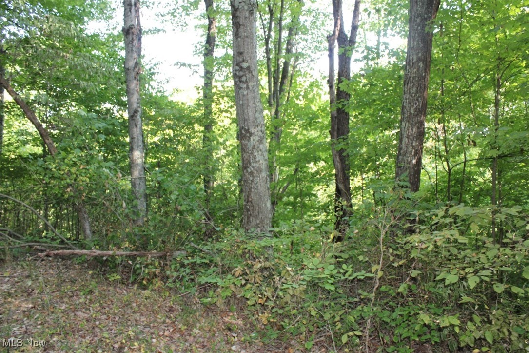 Leffler Road Roseville, OH 43777 - Photo 18 of 49 View of nature