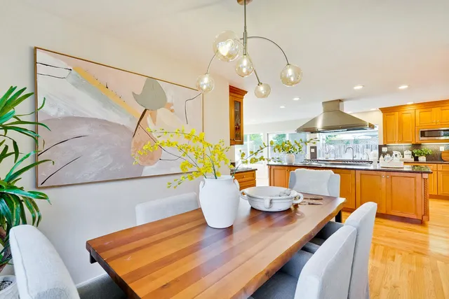 a view of a dining room with furniture a potted plant and wooden floor