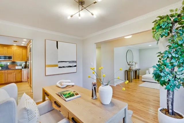 a view of a dining room with furniture a potted plant and wooden floor