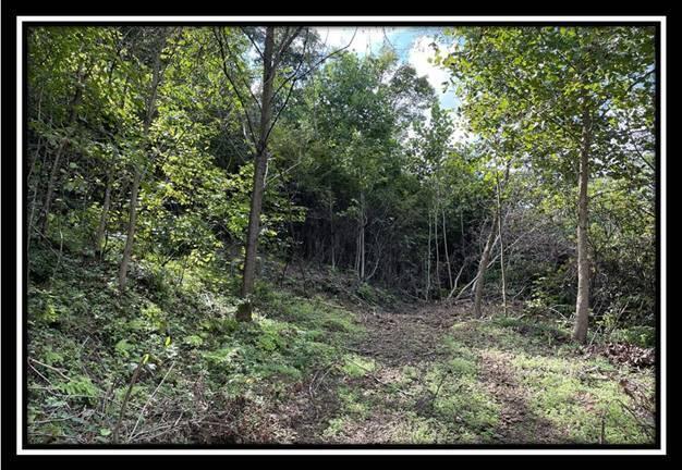 0 Clary Road, Unit TRACT 2) Ray, OH 45672 - Photo 22 of 32 image022