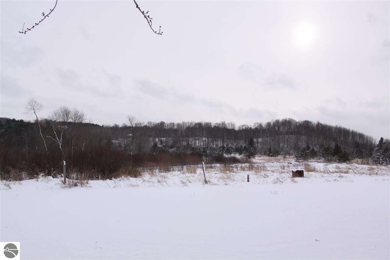 10320 East 12 Road Manton, MI 49663 - Photo 13 of 55 1791420-12.JPG