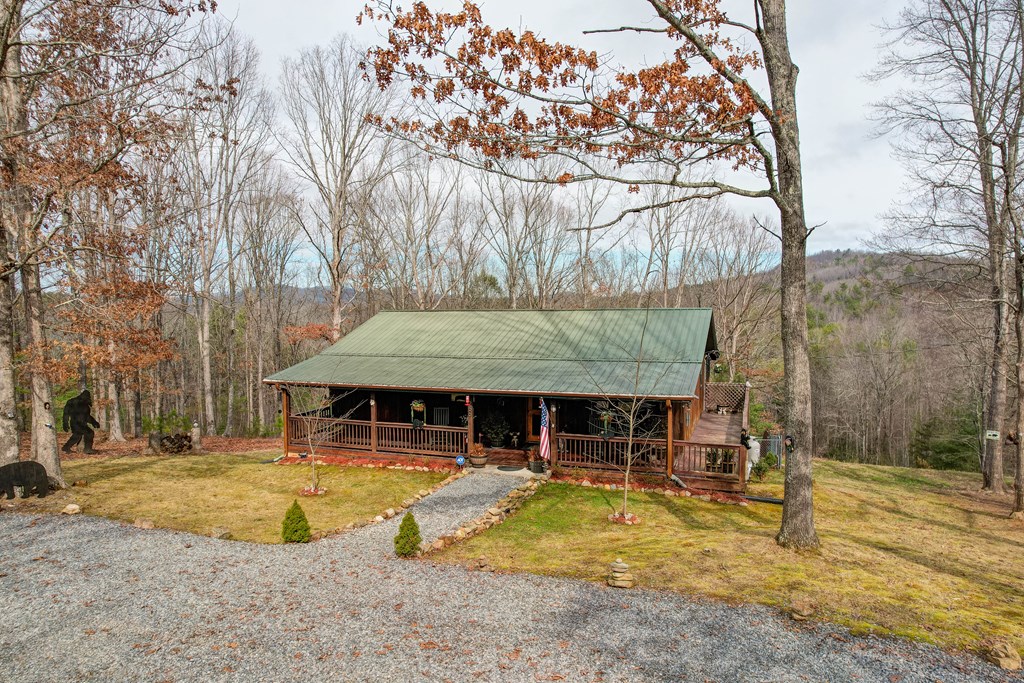 256 Boot Legger Road Morganton, GA 30560 - Photo 3 of 41