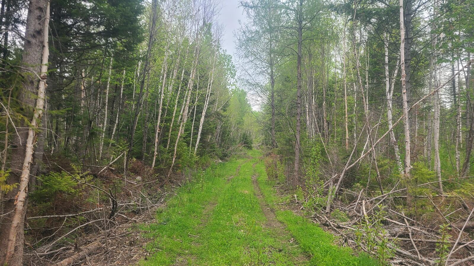 26 28/33/4 Aroostook Road Portage, ME 04768 - Photo 6 of 15 20260529_115757