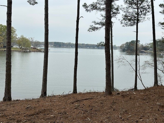 Ninety Six Rabbit Run Road Ninety Six, SC 29666 - Photo 5 of 5 Gallery Image 5