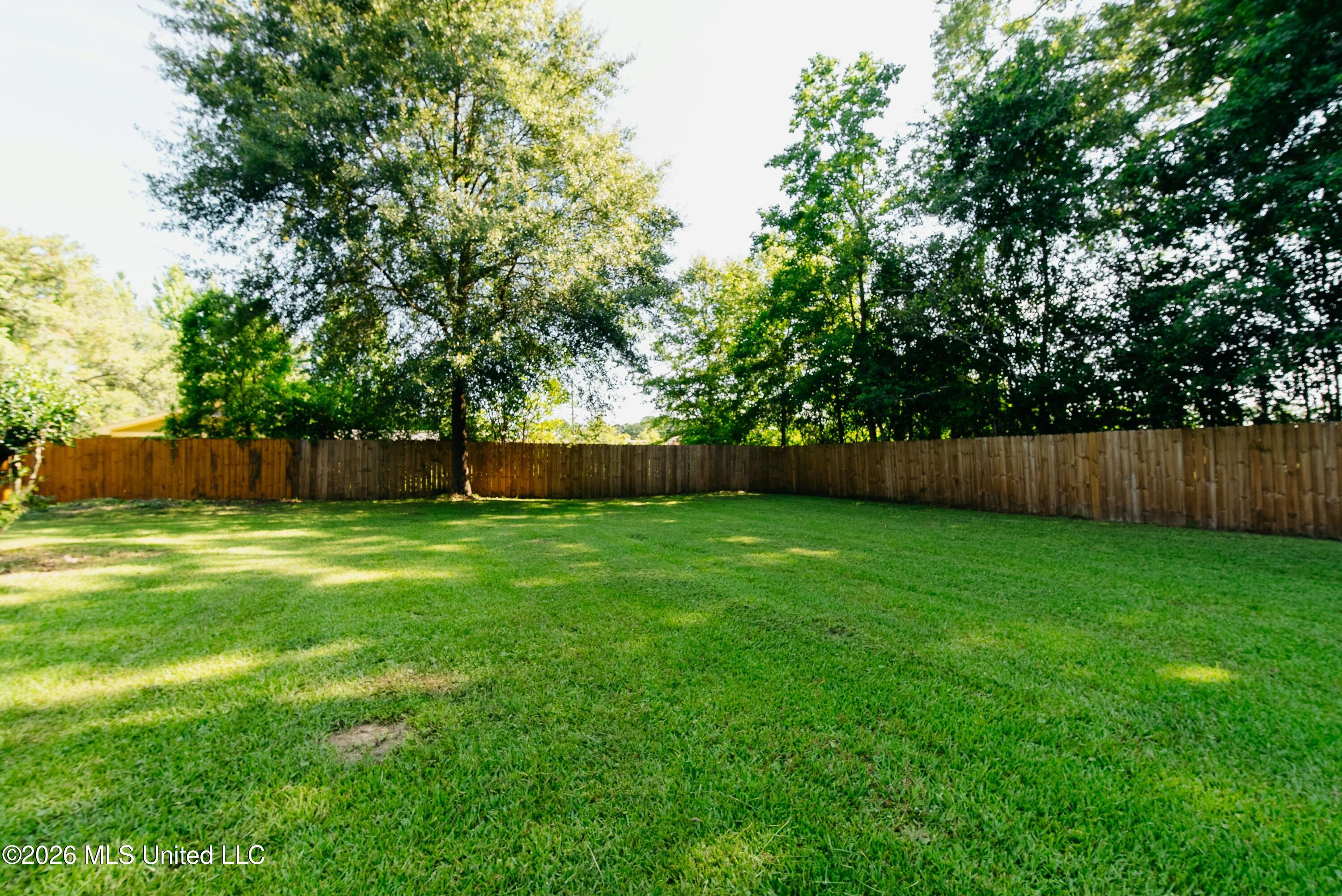 304 Spring Street Taylorsville, MS 39168 - Photo 3 of 39 3 (12)