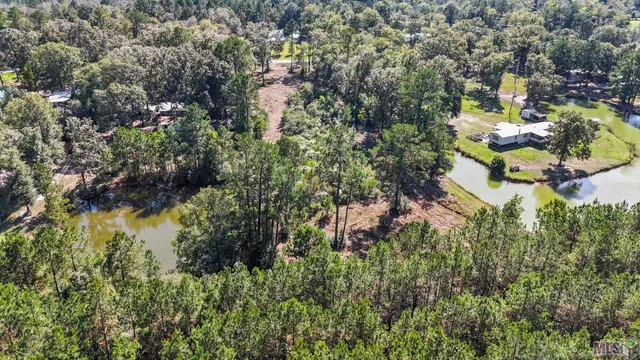 $80,000 | 23731 Highway 42, Holden, LA 70744