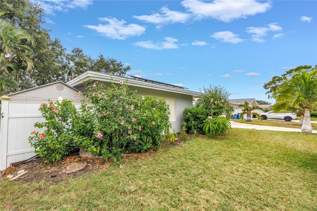 2856 65th Way North St. Petersburg, FL 33710 - Photo 49 of 49 a view of a garden with an outdoor space