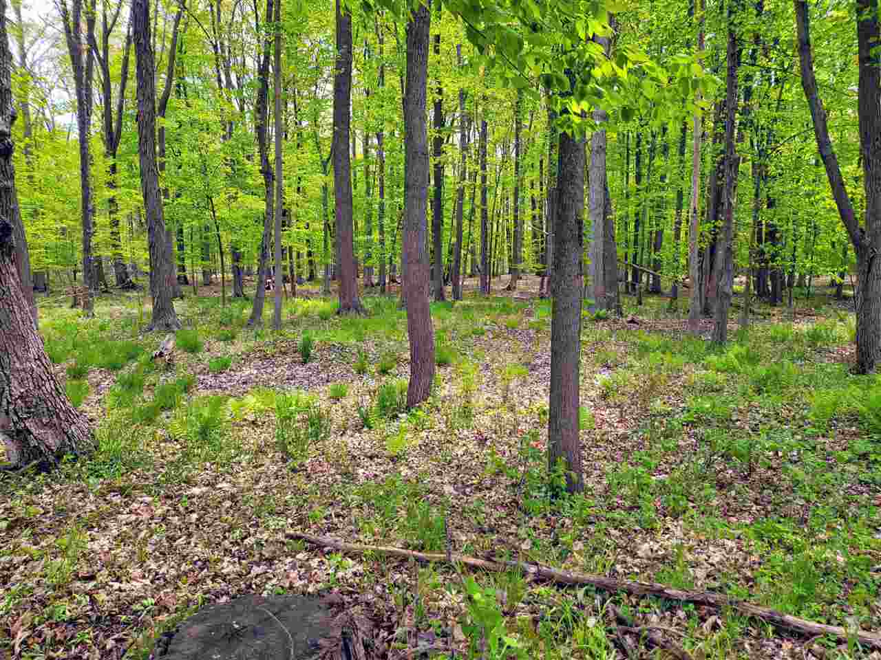 11673 Ferden Road Chesaning, MI 48616 - Photo 6 of 39 50041943-5.JPG