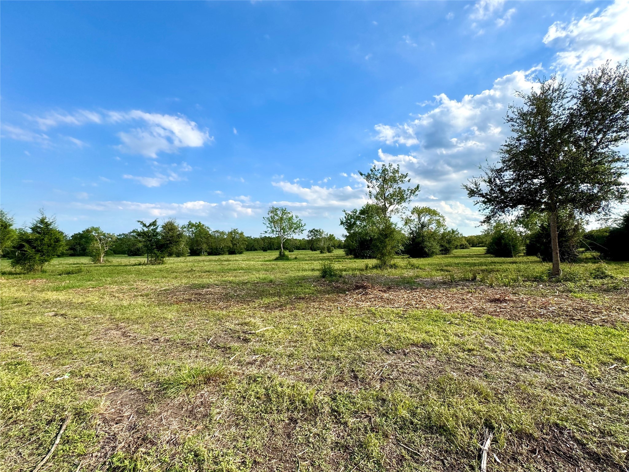 0 7th Street Santa Fe, TX 77510 - Photo 2 of 9 a view of a field with an trees