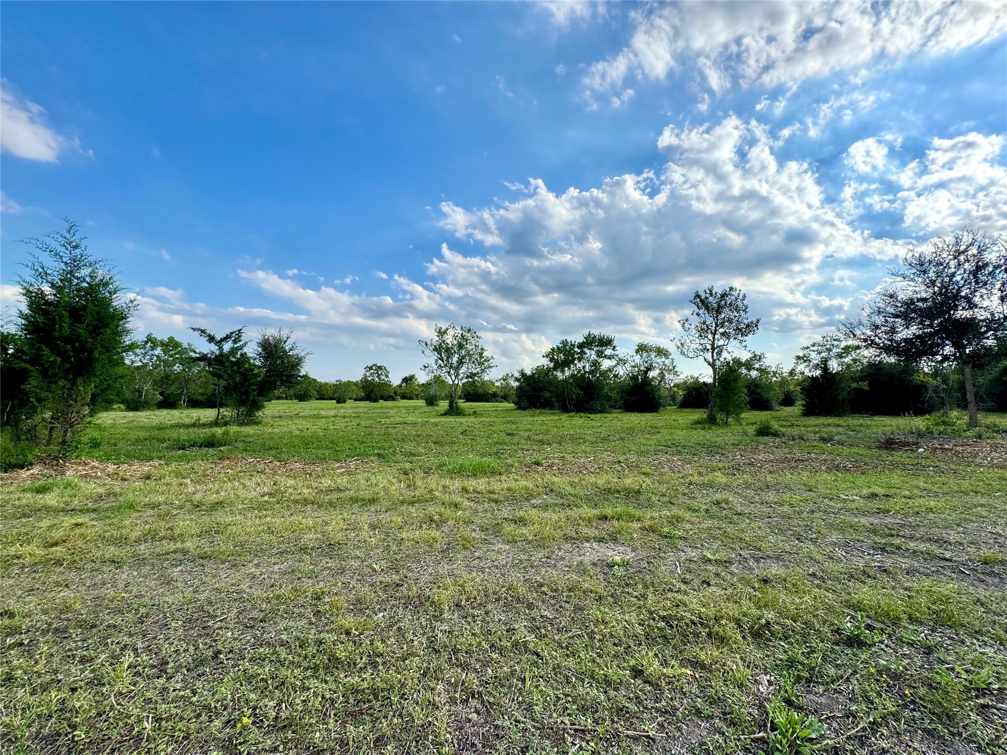 0 7th Street Santa Fe, TX 77510 - Photo 3 of 9 a view of a green field with wooden fence