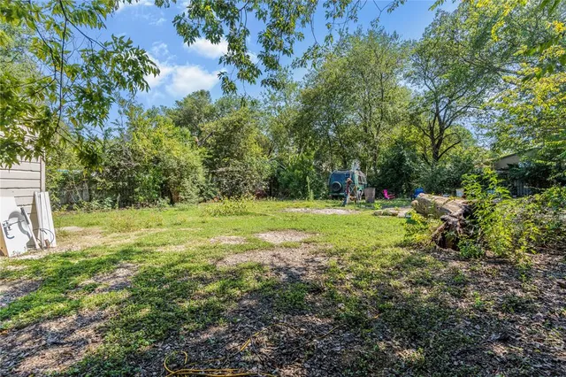 a view of a garden with a tree