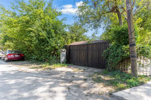 a view of backyard with tree